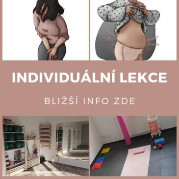 INDIVIDUÁLNÍ LEKCE